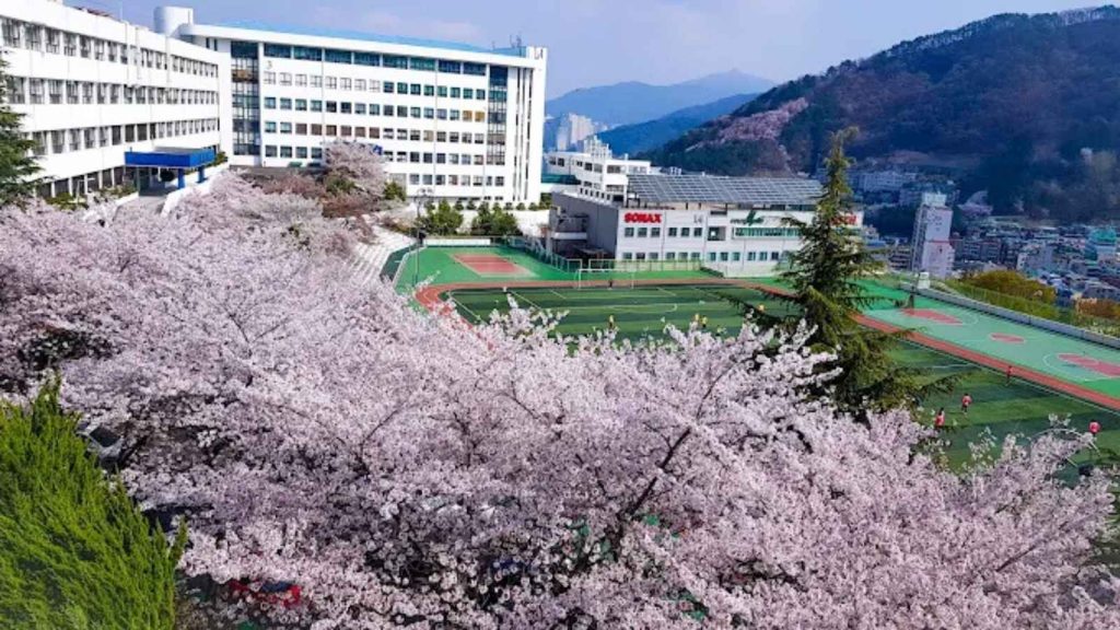 Đại học Khoa học và Kỹ thuật Busan
