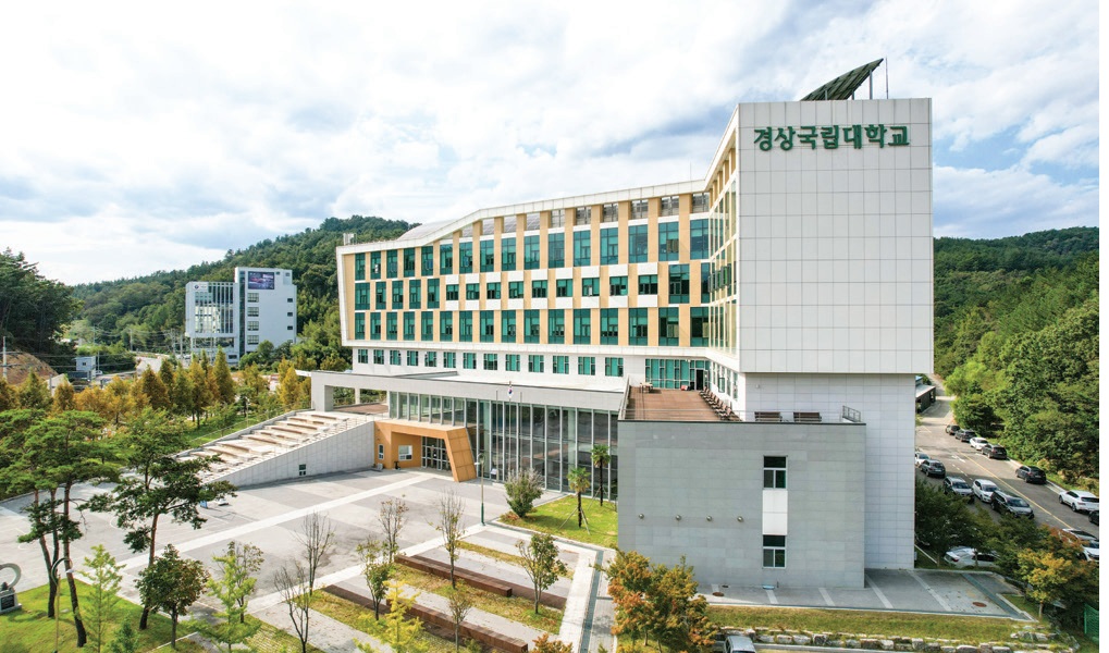 dai-hoc-quoc-gia-gyeongsang