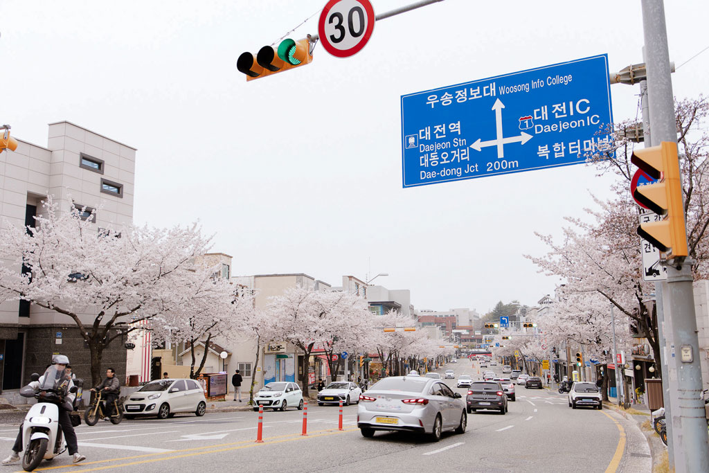 dai-hoc-woosong